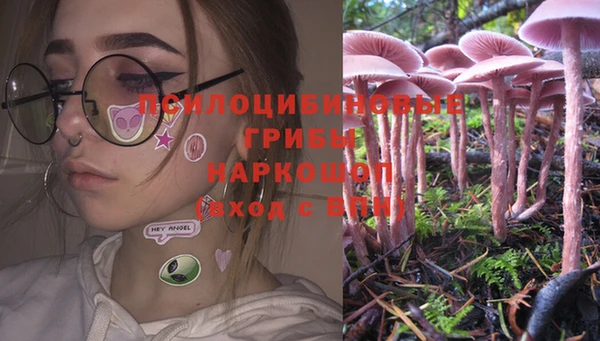 спайс Медвежьегорск