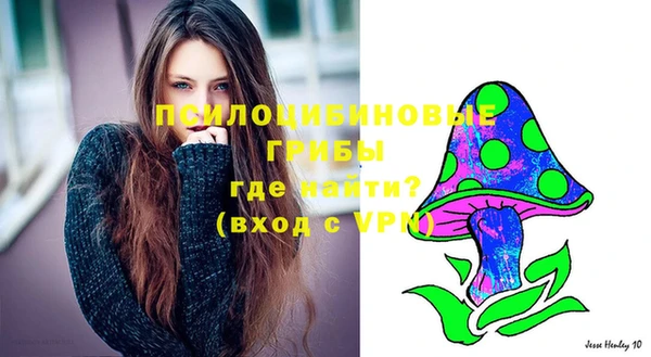герыч Мегион