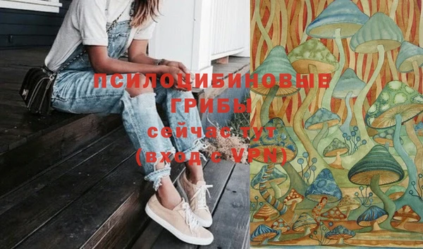 соль ск Медногорск