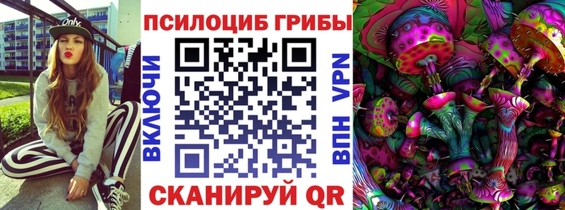 Купить закладки  Малгобек  Псилоцибиновые грибы Psilocybine cubensis 